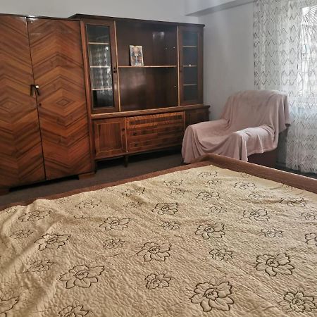 Garsoniera Apartment Крайова Екстериор снимка
